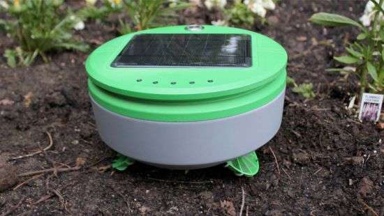 Роботы помогут дачникам на участках (ВИДЕО)