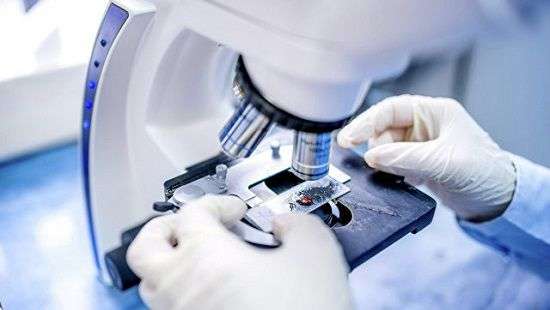 Ученые нашли способ вылечить рак