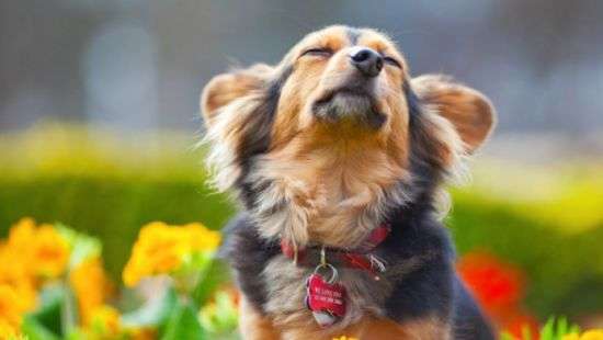 Какая в пятницу будет погода, рассказали синоптики