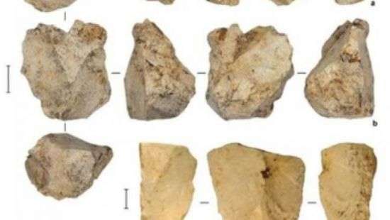 В Индонезии нашли останки вымершего до начала ледникового периода вида людей