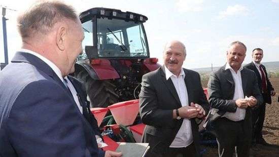 Лукашенко и Додон вместе посеяли кукурузу - ВИДЕО