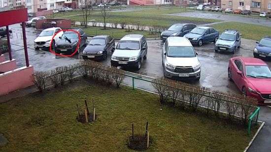 Падение кота с девятого этажа попало на ВИДЕО