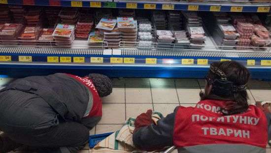 В столичном супермаркете спасатели ловили кота, который таскал сосиски (ФОТО)
