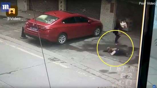 На жительницу Китая с неба упала собака (ВИДЕО)