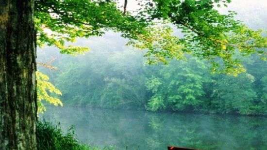 Стало известно, как человек может управлять сном