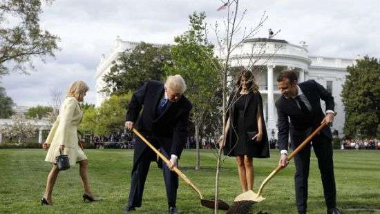 Трамп с Макроном посадили дуб возле Белого дома - ВИДЕО