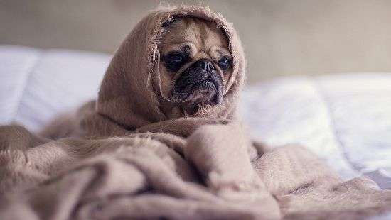 Медики назвали шокирующие последствия недосыпа