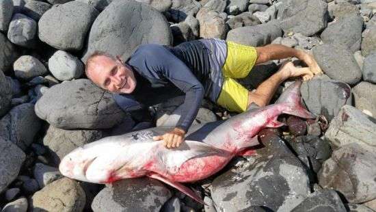 В Австралии серфингист с перепуга убил акулу (ФОТО)