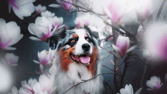 Какая будет погода на выходные, рассказали синоптики