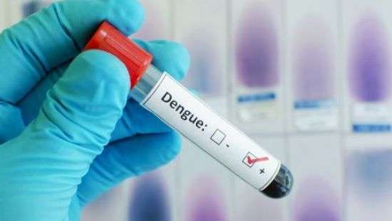 Таиланд предупредил о высоком риске заражения лихорадкой Денге