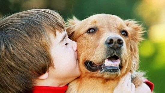 Зачем жителям мегаполисов нужны домашние животные