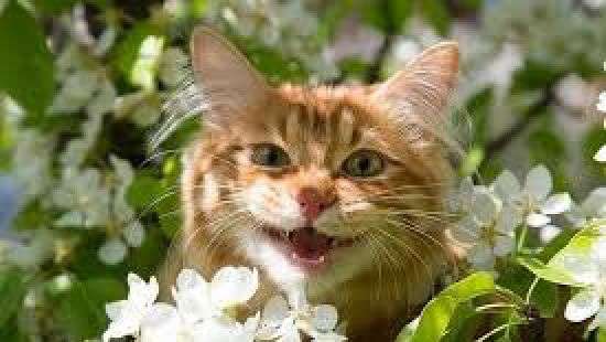 Синоптики рассказали когда ожидать ослабления жары