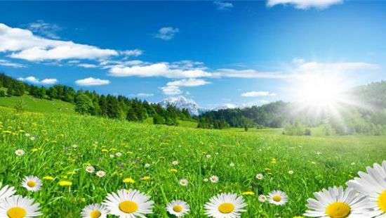 Синоптики дали прогноз о том, какое будет лето