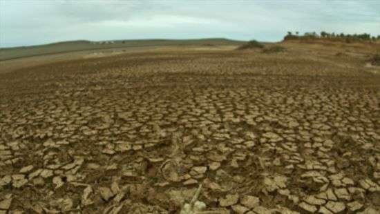 Более 50% территории Украины поражены эрозией – Минэкологии