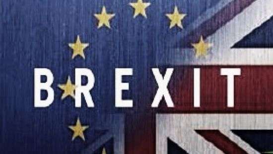 Из-за разработки нового таможенного режима, переход к Brexit может затянуться на годы – политик