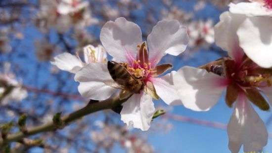 Погода на выходные: жара пойдет на убыль
