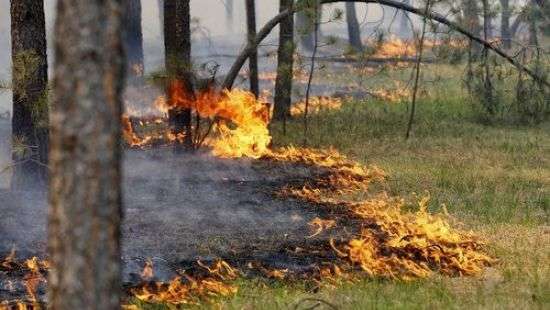 На территории Украины сохраняется чрезвычайная пожарная опасность