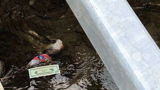 $600 тысяч унесло ветром: в Индиане произошел инцидент с автомобилем-инкассатором (ВИДЕО)