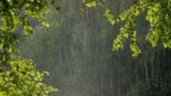 Сезон дождей в Украине начнется уже завтра - Укргидромецентр