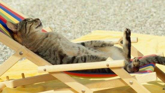 Супрун объяснила украинцам, как защититься от зноя