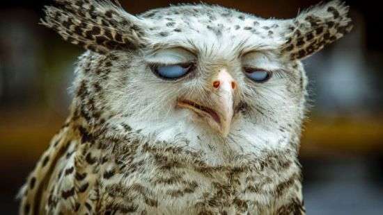 В Минздраве рассказали, как пережить понедельник