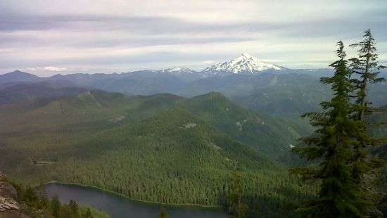 Полдюжины тел пропавших девушек ищут на северо-востоке от Детройта