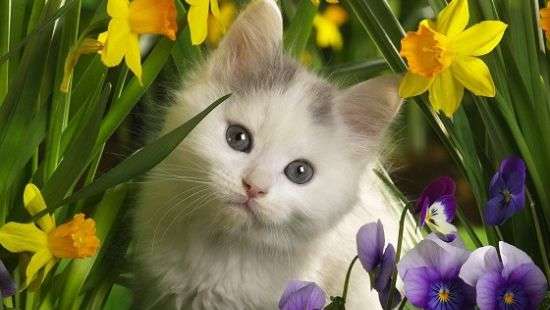 Погода в среду: день будет жарким