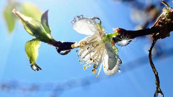 Погода сегодня: ожидаются дожди с грозами