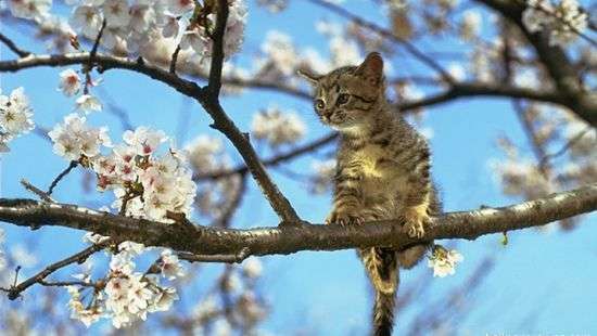 Погода в пятницу: в Украину зайдет скандинавский антициклон