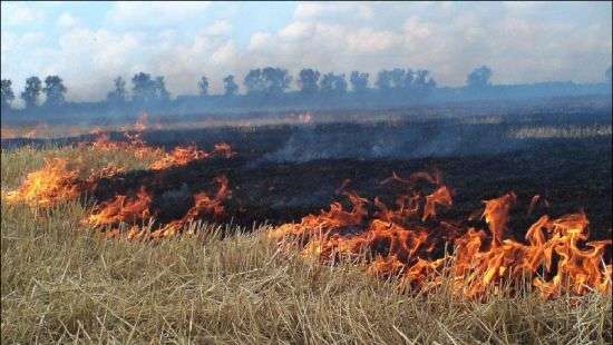 Повышение штрафов за вред окружающей среде: в Минэкологии рассматривают законопроект