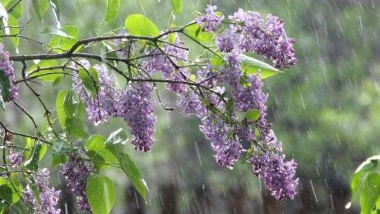 Погода в пятницу: в Украине будет прохладно