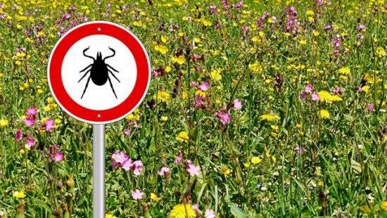 Украинцев предупредили о рисках отдыха на природе