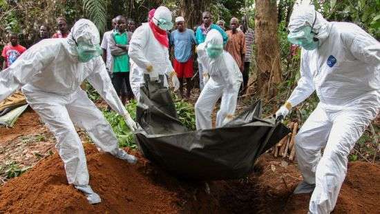 Вирус Эбола может распространиться за пределы Конго