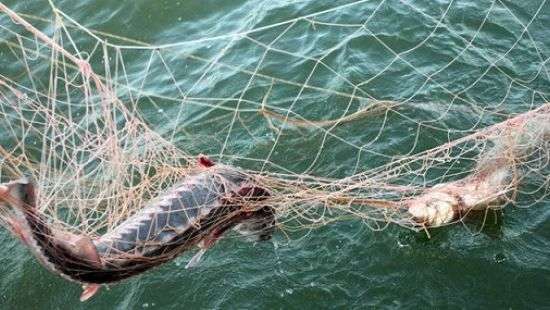 Россияне задержали в Азовском море двоих украинских рыбаков