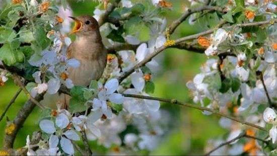 Погода во вторник: в Украине начнет теплеть