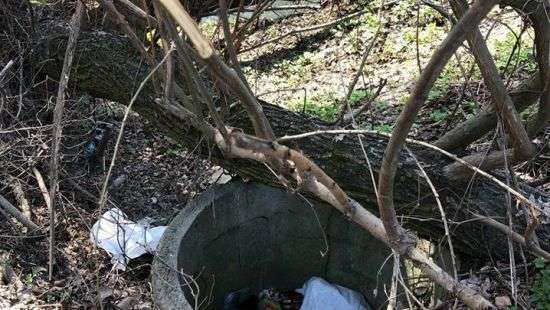 Киевляне простят столичные власти спасти Совские пруды от экологической катастрофы