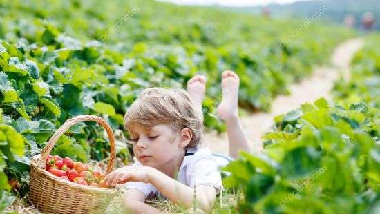 Супрун рассказала, как не заразиться глистами