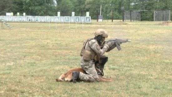 На Львовщине подготовили первых служебных собак для спецназа