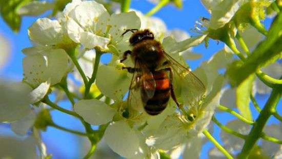 Погода в среду: в Украину идет потепление