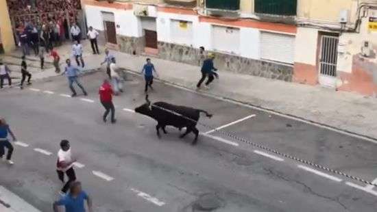 Разъяренный бык атаковал участника фестиваля корриды и попал на ВИДЕО