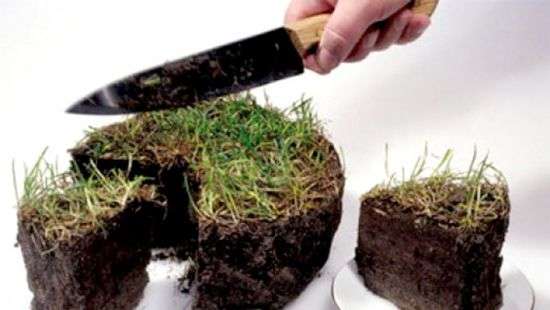 САП отправили в суд дело о краже земли в Киеве