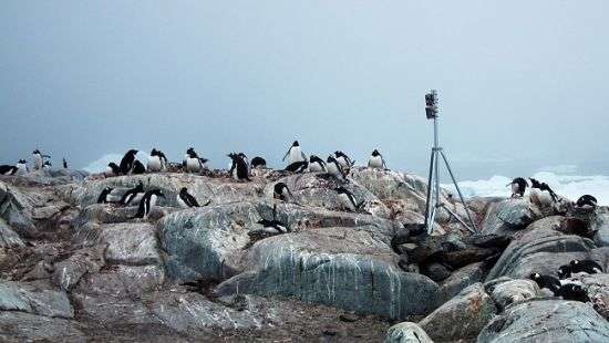 Западное научное сообщество отметило арктические исследования украинских ученых