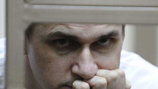 Денисова обратилась к коллеге из России по поводу Сенцова