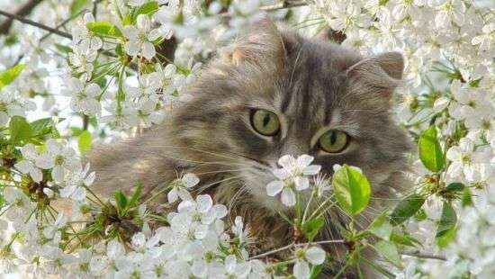 Погода в четверг: в Украине будет тепло