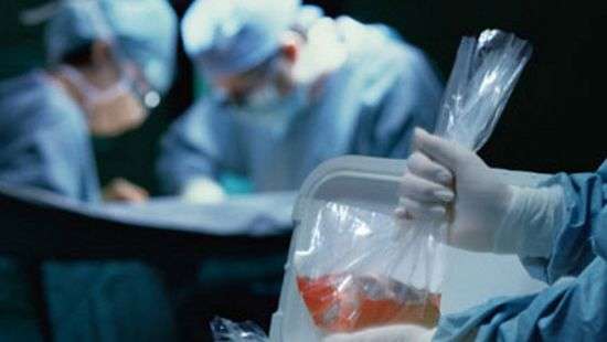 Рада одобрила трансплантацию органов