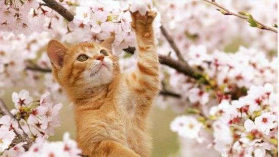 Погода в пятницу: синоптики обещают дожди и грозы