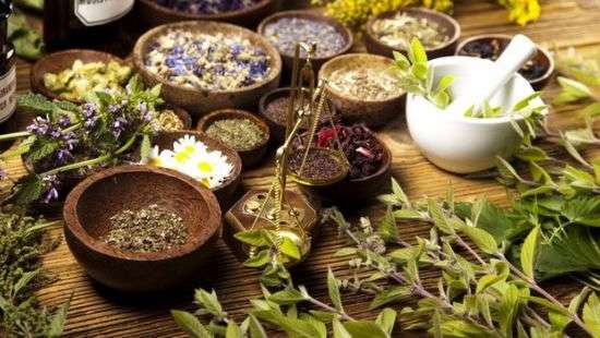 Минздрав отменит выдачу лицензий на занятие народной медициной