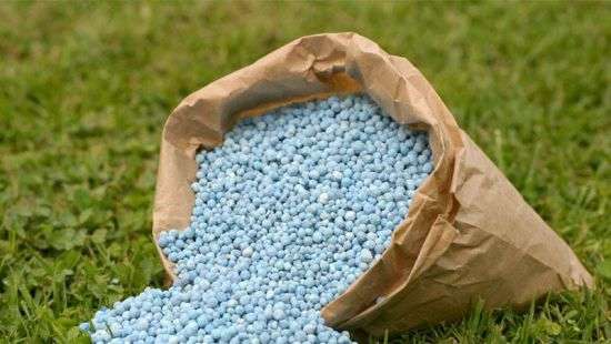 Аммиачное отравление: Украина впервые проиграла спор ВТО стране агрессору