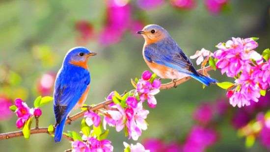 Какая будет сегодня погода, рассказали синоптики