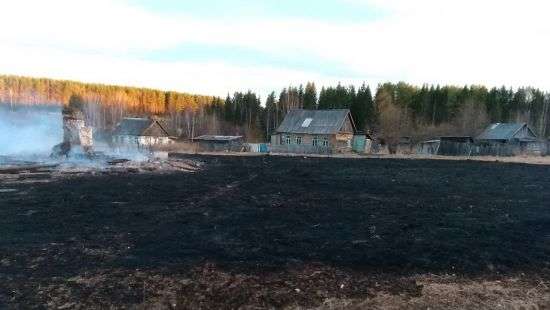 В России мужчина случайно вместе с мусором сжег лес и половину поселка  (ФОТО)